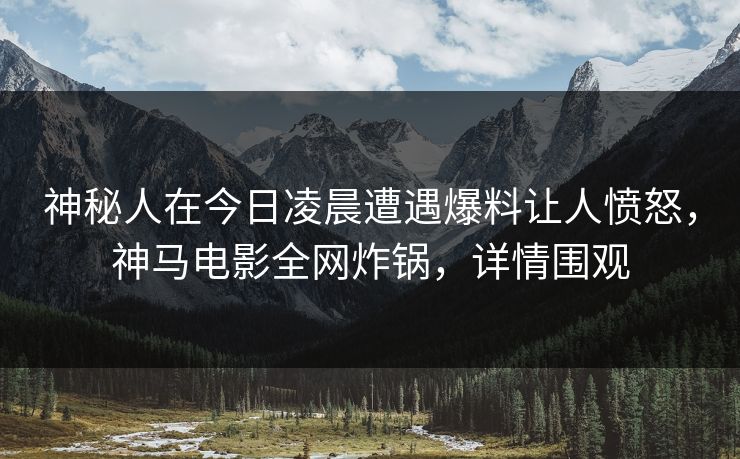 神秘人在今日凌晨遭遇爆料让人愤怒，神马电影全网炸锅，详情围观