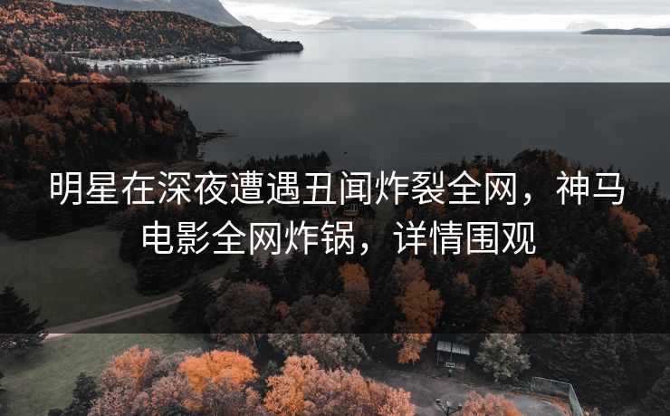 明星在深夜遭遇丑闻炸裂全网，神马电影全网炸锅，详情围观