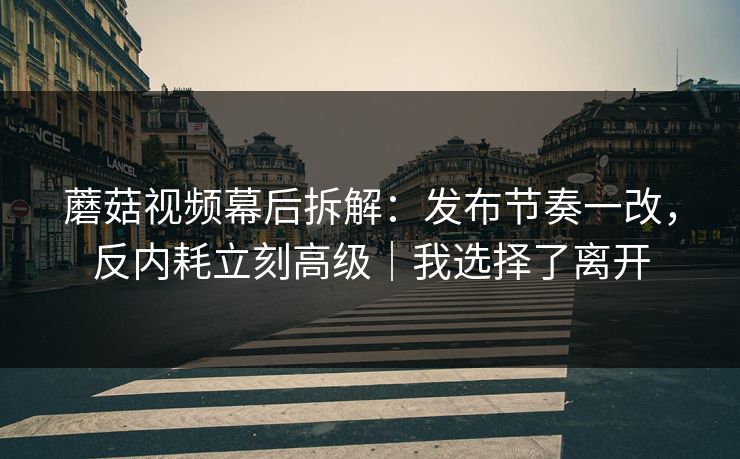 蘑菇视频幕后拆解：发布节奏一改，反内耗立刻高级｜我选择了离开