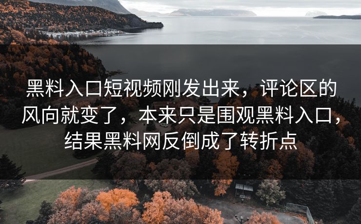 黑料入口短视频刚发出来，评论区的风向就变了，本来只是围观黑料入口，结果黑料网反倒成了转折点